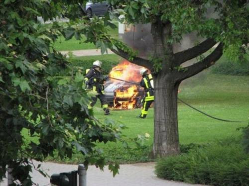 Alev alev otolar - Resim: 2