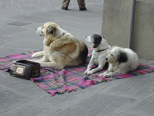 Günün en ilginç kareleri - Resim: 1