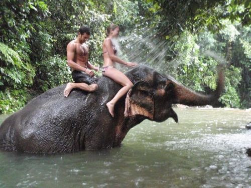 İnternetin en çok güldüren kareleri - Resim: 2