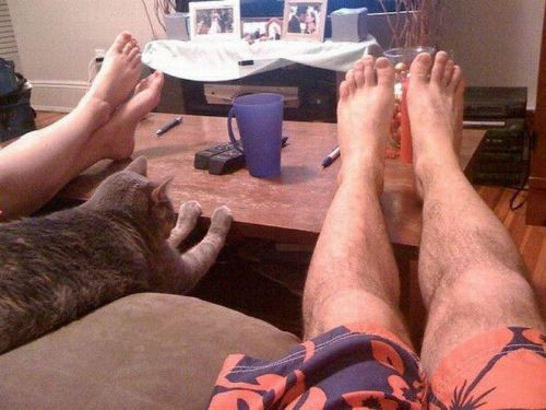 Gülmekten gözyaşı dökeceğiniz kareler! - Resim: 3