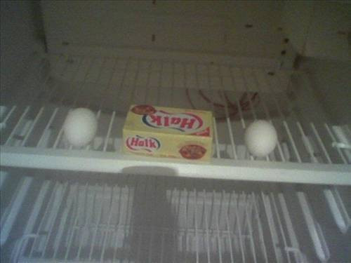 Öğrenci evlerinden akıl almaz manzaralar - Resim: 1