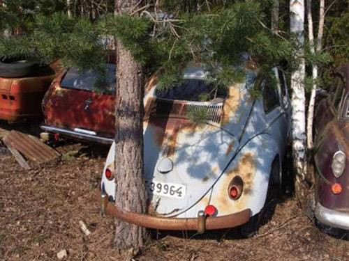 Karadeniz fıkrasını aratmayan kareler! - Resim: 1