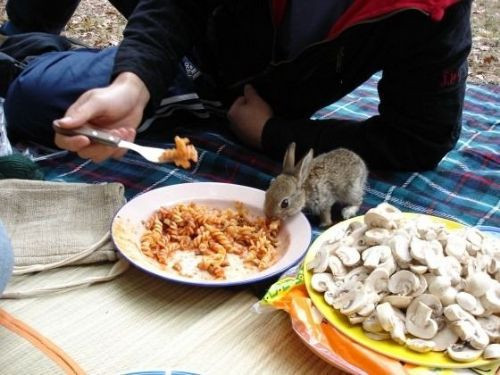 Günün en çok bakılan fotoğrafları! - Resim: 4