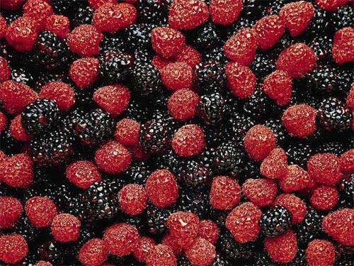 Kansere karşı en güçlü 20 gıda - Resim: 4