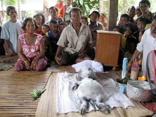 Uzaylı bebek şoke etti - Resim: 2