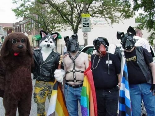 İnternetin tık rekoru kıran fotoğrafları - Resim: 4