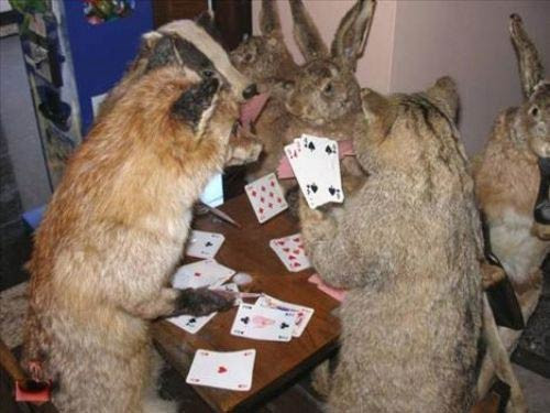 Yaşamdan en tuhaf o anlar! - Resim: 3