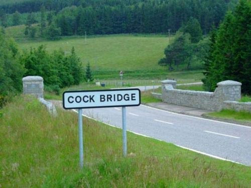 İnternette en çok güldüren fotoğraflar! - Resim: 4