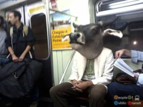 İnternetin en tuhaf kareleri - Resim: 3