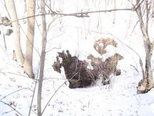 4 katlı PKK mağarası - Resim: 1