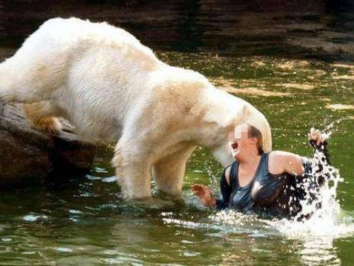 Hayvanların insanlara saldırdığı anlar - Resim: 1