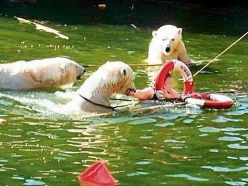 Hayvanların insanlara saldırdığı anlar - Resim: 2