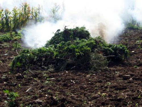 PKK'ya MİT destekli operasyon - Resim: 1