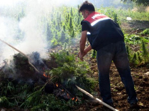 PKK'ya MİT destekli operasyon - Resim: 3
