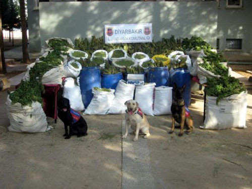 PKK'ya MİT destekli operasyon - Resim: 4