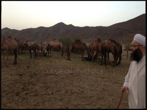 Cübbeli Hoca'dan bomba fotoğraflar - Resim: 2