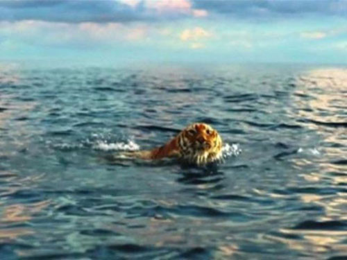 Film uğruna hayvanları katlettiler - Resim: 4