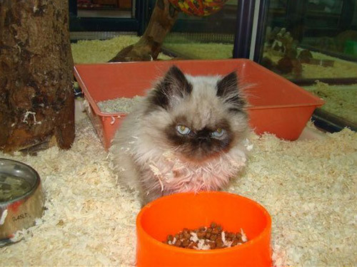 Bu kareler tıklanma rekoru kırıyor - Resim: 2