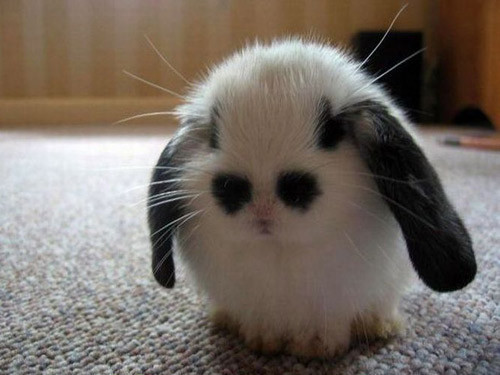 Bu kareler tıklanma rekoru kırıyor - Resim: 4