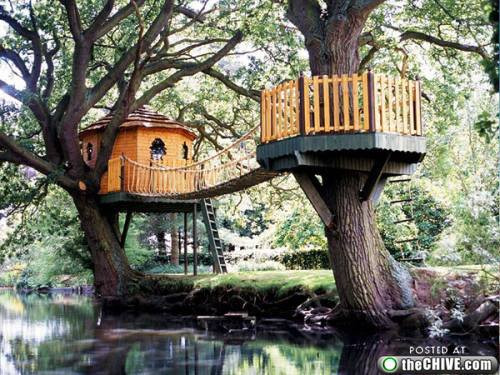 Bu ağaç evlere inanamayacaksınız! - Resim: 2