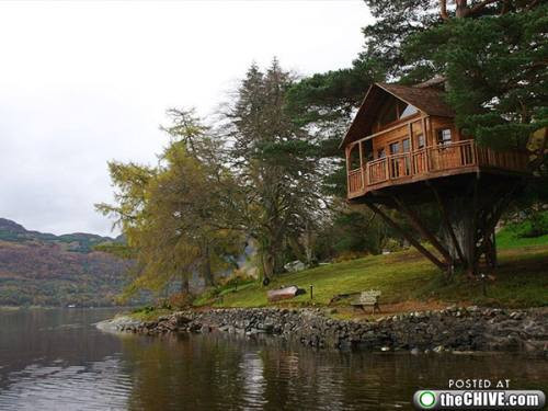 Bu ağaç evlere inanamayacaksınız! - Resim: 4