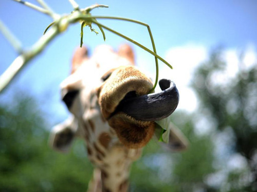 Günün en çok tıklanan kareleri - Resim: 4