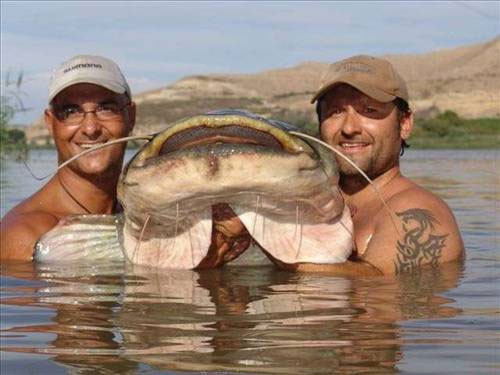 Görenler şaşkına döndü - Resim: 2