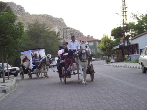 Nallıhan'da düğünlere fayton keyfi - Resim: 1