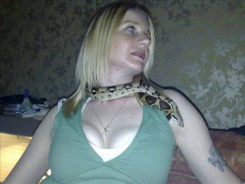 Bu hayvanlar evde beslenir mi? - Resim: 2