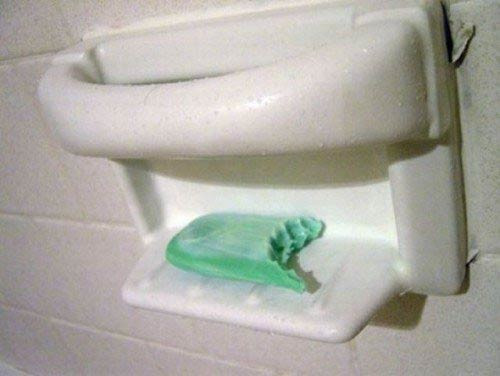 En çok güldüren fotoğraflar - Resim: 2