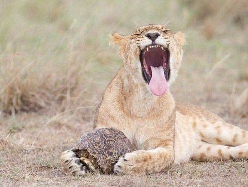 Günün en ilginç fotoğrafları! - Resim: 2