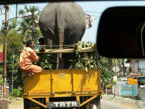 Yok artık bunlar gerçek olabilir mi? - Resim: 2