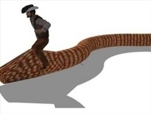 İnek yutan dev yılan! - Resim: 3