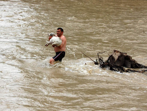 Sele kapılan köpeği böyle kurtardı - Resim: 3