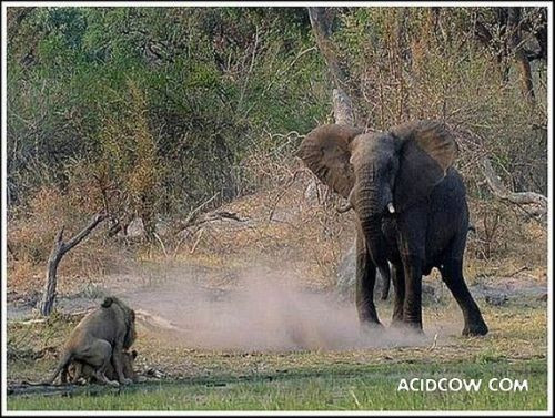 Tıklanma rekoru kıran 100 fotoğraf  - Resim: 2