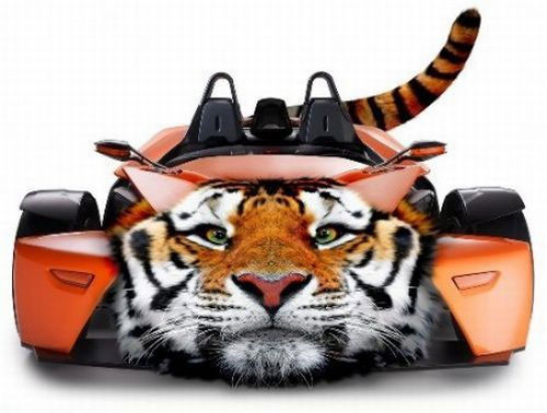 Günün en ilginç kareleri - Resim: 3