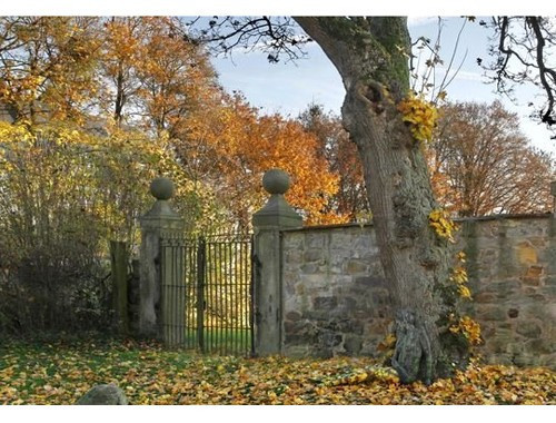 Peki siz fotoğraftaki kadınları gördünüz mü? - Resim: 1