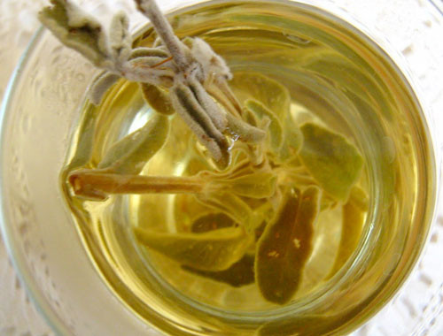 Mucize iksirler Fatih Sultan Mehmet macunu - Resim: 4