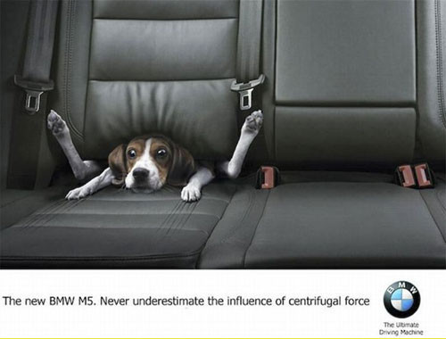 Reklam dünyasının maskotu olan "köpekler" - Resim: 1