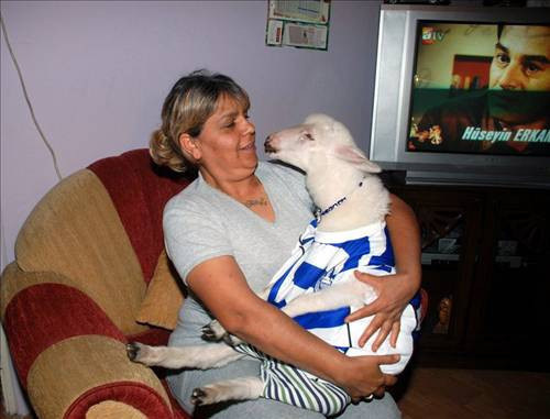 Yurdum insanı birkez daha pes dedirtti - Resim: 2