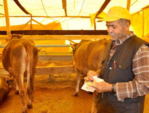 Kurban pazarının gözdesi! - Resim: 2