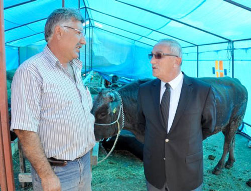 Kurban pazarının gözdesi! - Resim: 3