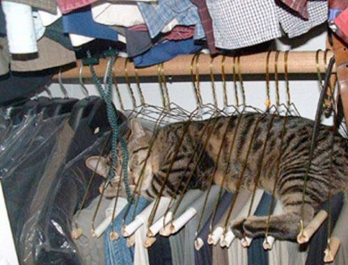 Dünyanın en çok tıklanan fotoğrafları! - Resim: 1