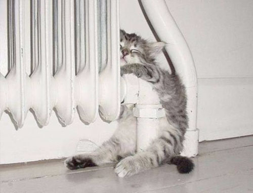 Dünyanın en çok tıklanan fotoğrafları! - Resim: 3