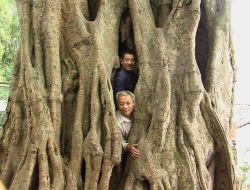 Haftanın rekor kıran kareleri - Resim: 3