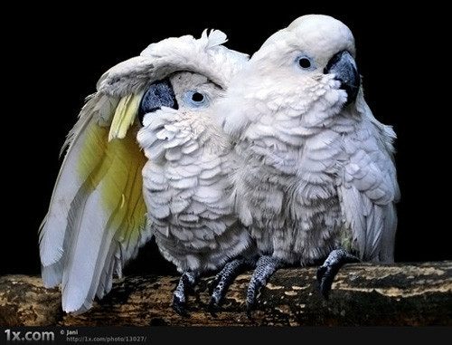 İnternetin en çılgın fotoğrafları - Resim: 2