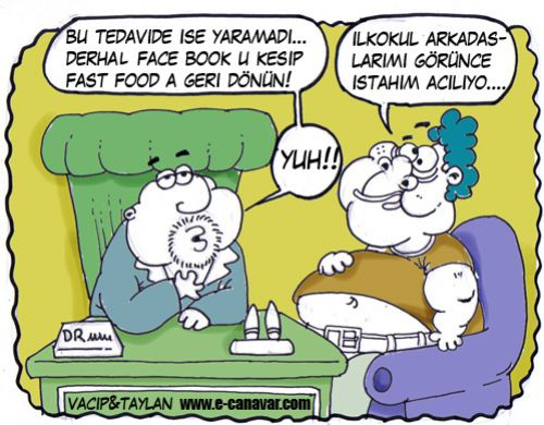 Facebook karikatürleri  - Resim: 3