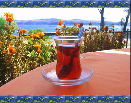 Çayın vücudumuza öyle faydası var ki... - Resim: 1