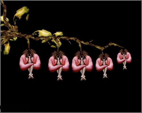 Çıplak bedenler çiçek oldu - Resim: 2