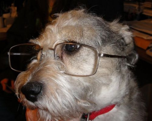 Biraz gülmeye ne dersiniz? - Resim: 2